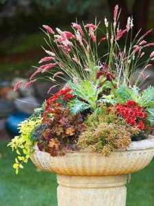 outside-flower-arrangements