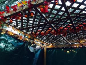 Sukkot 2014