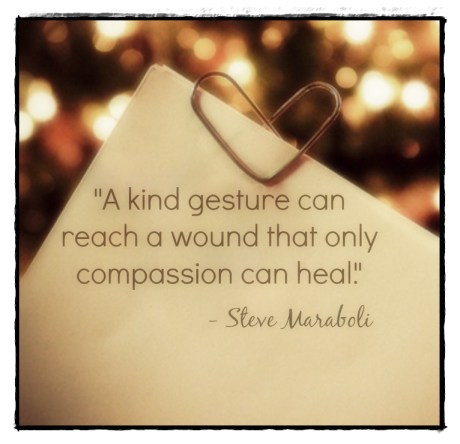 a-kind-gesture-can-reach-a-wound-that-only-compassion-can-heal-steve-maraboli